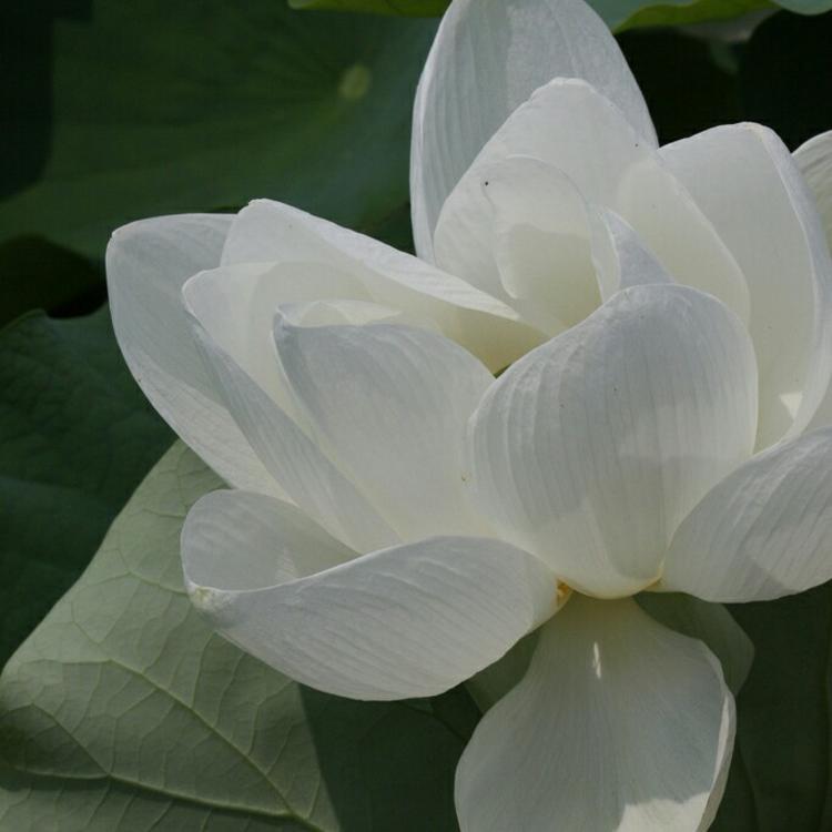 比古清十郎（身份：剑心师父、飞天御剑流第十三代传人） - 体育精华回放在线观看 - 在线看视频